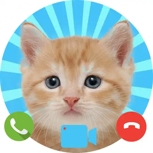 Play Fake Call from Cat - Prank Caller APK