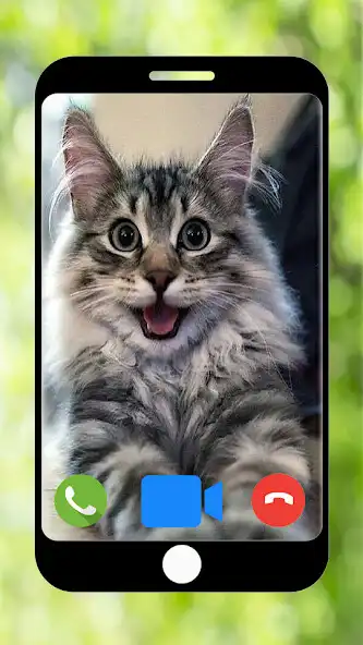 Play Fake Call from Cat - Prank Caller  and enjoy Fake Call from Cat - Prank Caller with UptoPlay