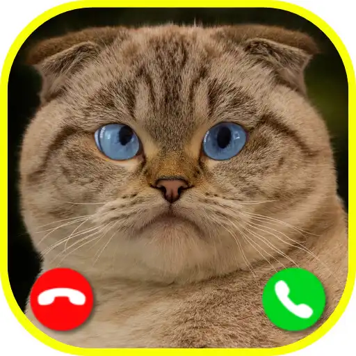 Play Fake Call From Funny Cats APK Play Fake Call From Funny Cats APK