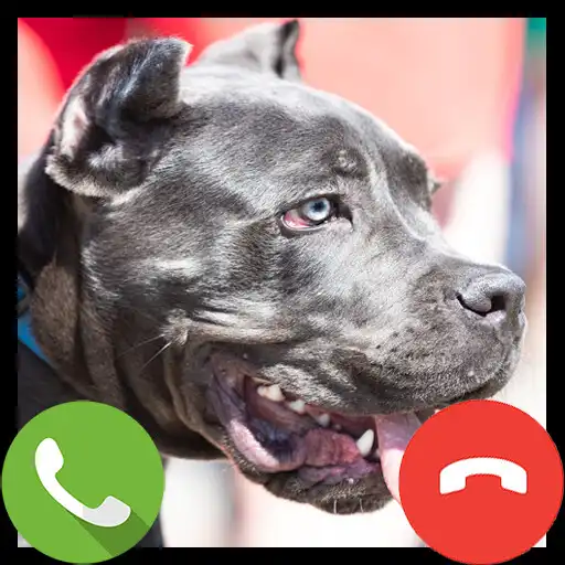 Play Fake Call Pitbull - Prank Call APK Play Fake Call Pitbull - Prank Call APK