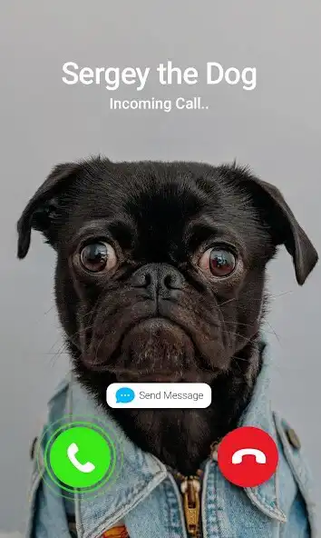 Play Fake Call Prank- Animals  and enjoy Fake Call Prank- Animals with UptoPlay