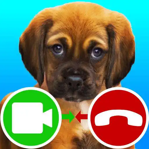 Run free android online fake call video puppy game APK Run free android online fake call video puppy game APK