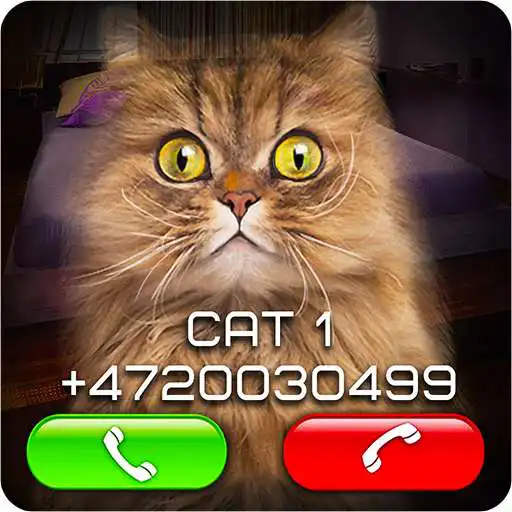 Play Fake Video Call Cat APK