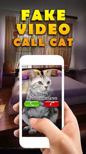 Play Fake Video Call Cat  and enjoy Fake Video Call Cat with UptoPlay