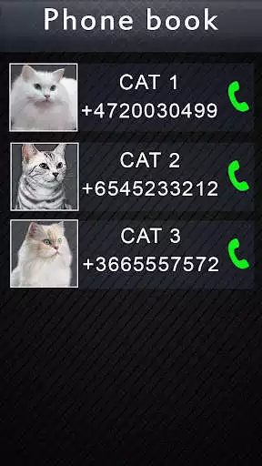Play Fake Video Call Cat as an online game Fake Video Call Cat with UptoPlay