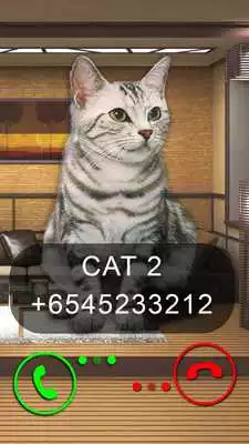 Play Fake Video Call Cat