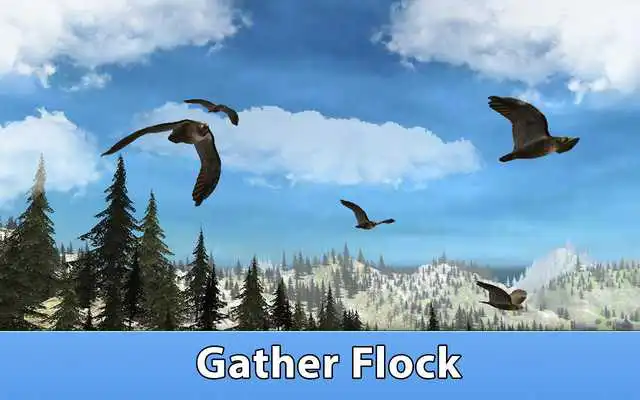 Play Falcon Bird Survival Simulator
