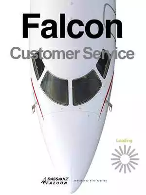Play Falcon Customer Service