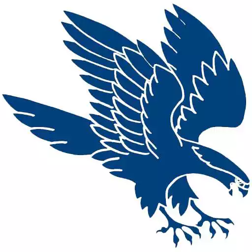 Play Falcon Messenger APK Play Falcon Messenger APK