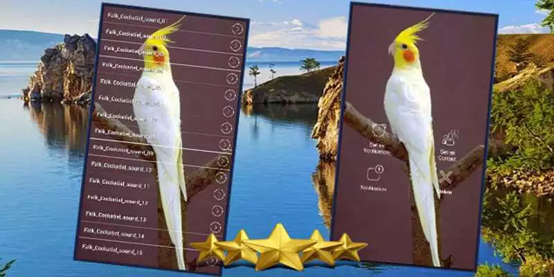 Play Falk Bird Singing