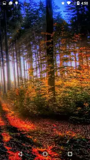 Play Fall 3D Live Wallpaper as an online game Fall 3D Live Wallpaper with UptoPlay