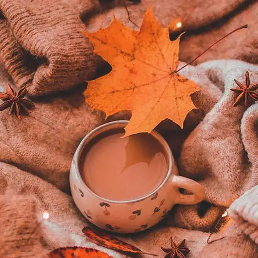 Play Fall Aesthetic Wallpapers APK