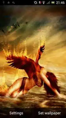 Play Fallen angel live wp