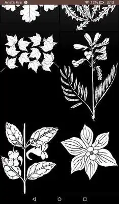 Play Fall Flower Coloring Play Fall Flower Coloring