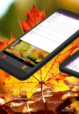 Play Falling Leaves Keyboard
