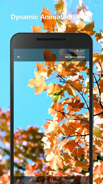 Play Falling Leaves Wallpaper Pro as an online game Falling Leaves Wallpaper Pro with UptoPlay