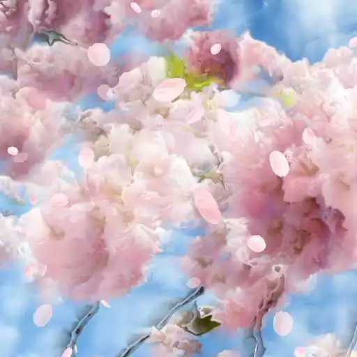 Free play online Falling Petals Live Wallpaper APK