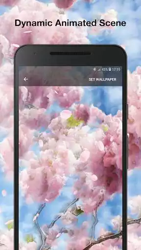 Play Falling Petals Live Wallpaper