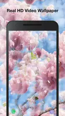 Play Falling Petals Live Wallpaper