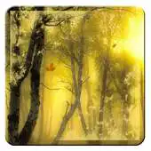 Free play online Fall Leaves Wallpaper Forest APK