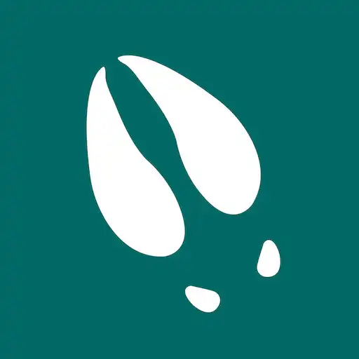 Play Fallvilt APK Play Fallvilt APK