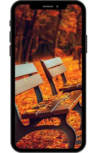 Play Fall Wallpaper  and enjoy Fall Wallpaper with UptoPlay