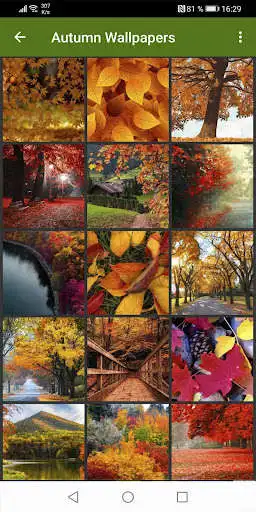 Play fall wallpapers  and enjoy fall wallpapers with UptoPlay
