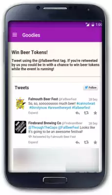 Play Falmouth Beer Festival 2015