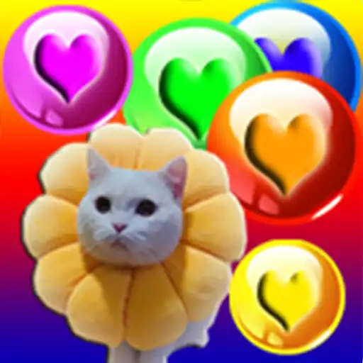 Play family bubble APK