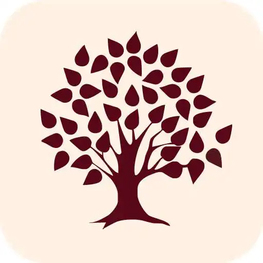 Play Family Club APK