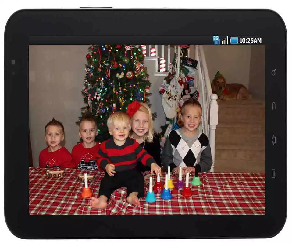 Play Family Fun Pack Videos