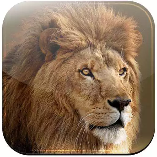 Free play online Family of Faith APK Free play online Family of Faith APK