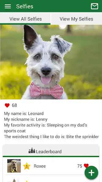 Play FamilyPet as an online game FamilyPet with UptoPlay