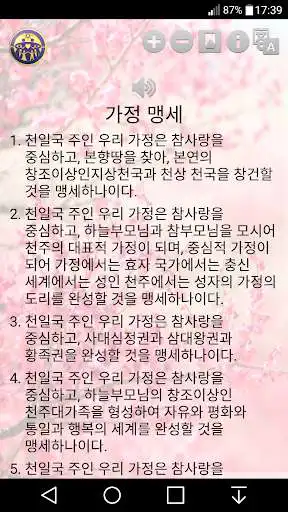 Play Family Pledge
