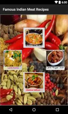 Play Famous Indian Meat Recipe