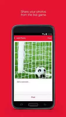 Play Fan App for Hamilton Accies