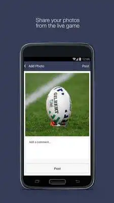 Play Fan App for Sale Sharks