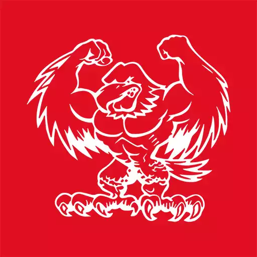 Play Fan-App Stefan Kraft APK