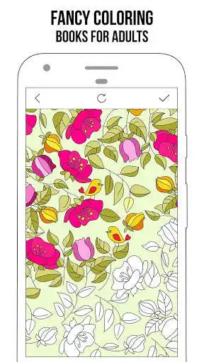 Play Fancy Adults Coloring Books Play Fancy Adults Coloring Books