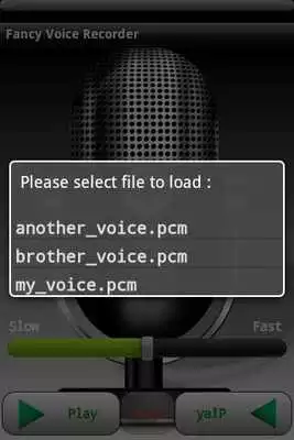 Play Fancy Voice Recorder