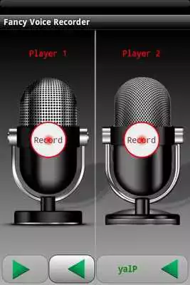 Play Fancy Voice Recorder