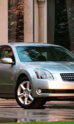 Play Fans Wallpaper Nissan Maxima