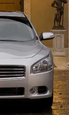 Play Fans Wallpaper Nissan Maxima