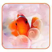 Free play online Fantastic Aquarium LW APK