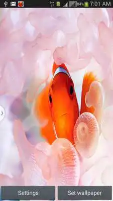 Play Fantastic Aquarium LW