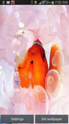 Play Fantastic Aquarium LW
