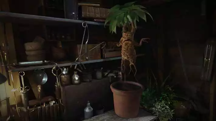Play Fantastic Beasts
