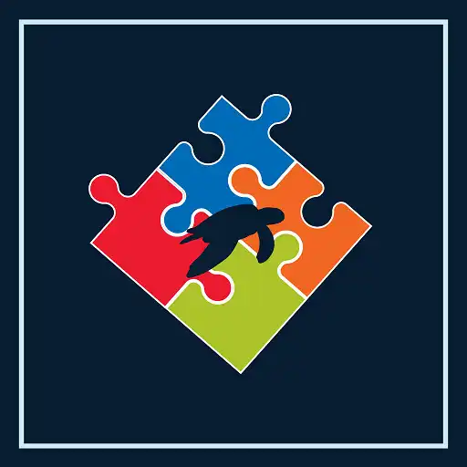 Play Fantastic Turtle APK