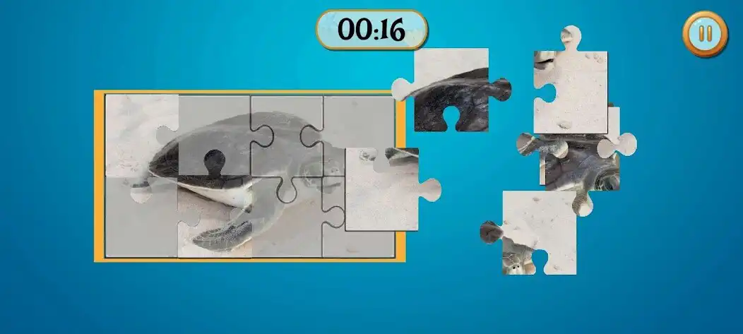 Play Fantastic Turtle as an online game Fantastic Turtle with UptoPlay