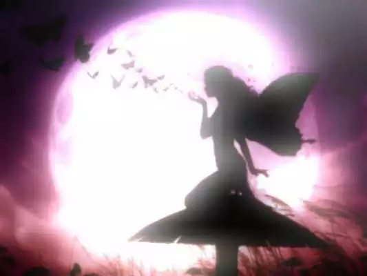 Play Fantasy Camera Effects